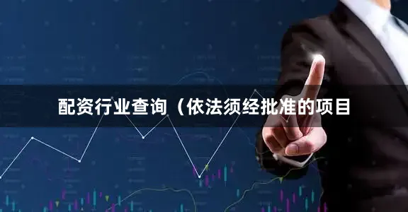 配资行业查询（依法须经批准的项目