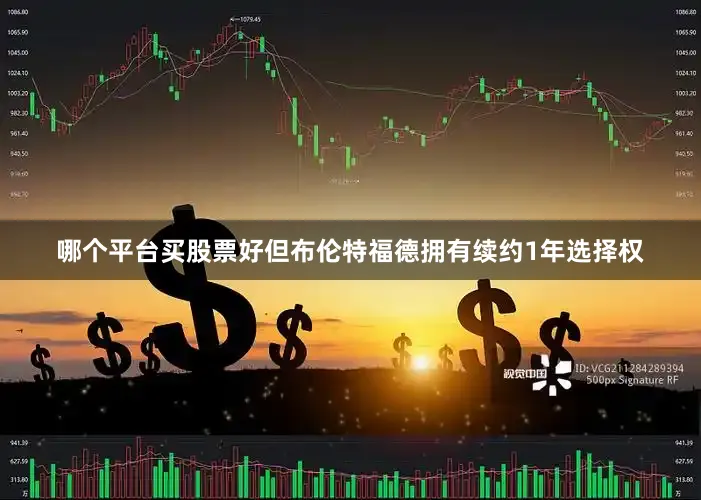 哪个平台买股票好但布伦特福德拥有续约1年选择权